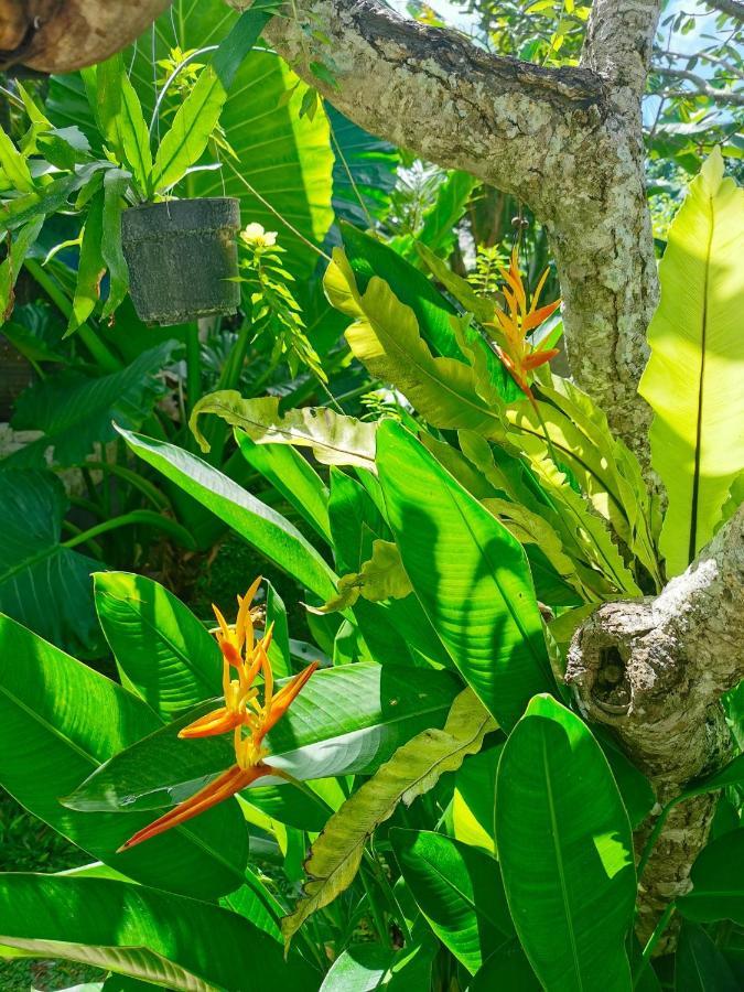 Artoria Dream Villas Bali Nusa Dua  Luaran gambar